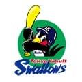 東京ヤクルトスワローズ|野球 好き?嫌い?